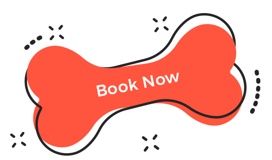 https://playhound.co.uk/wp-content/uploads/2019/08/book_now.png