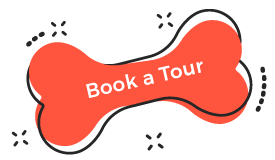 https://playhound.co.uk/wp-content/uploads/2019/08/book_tour.png