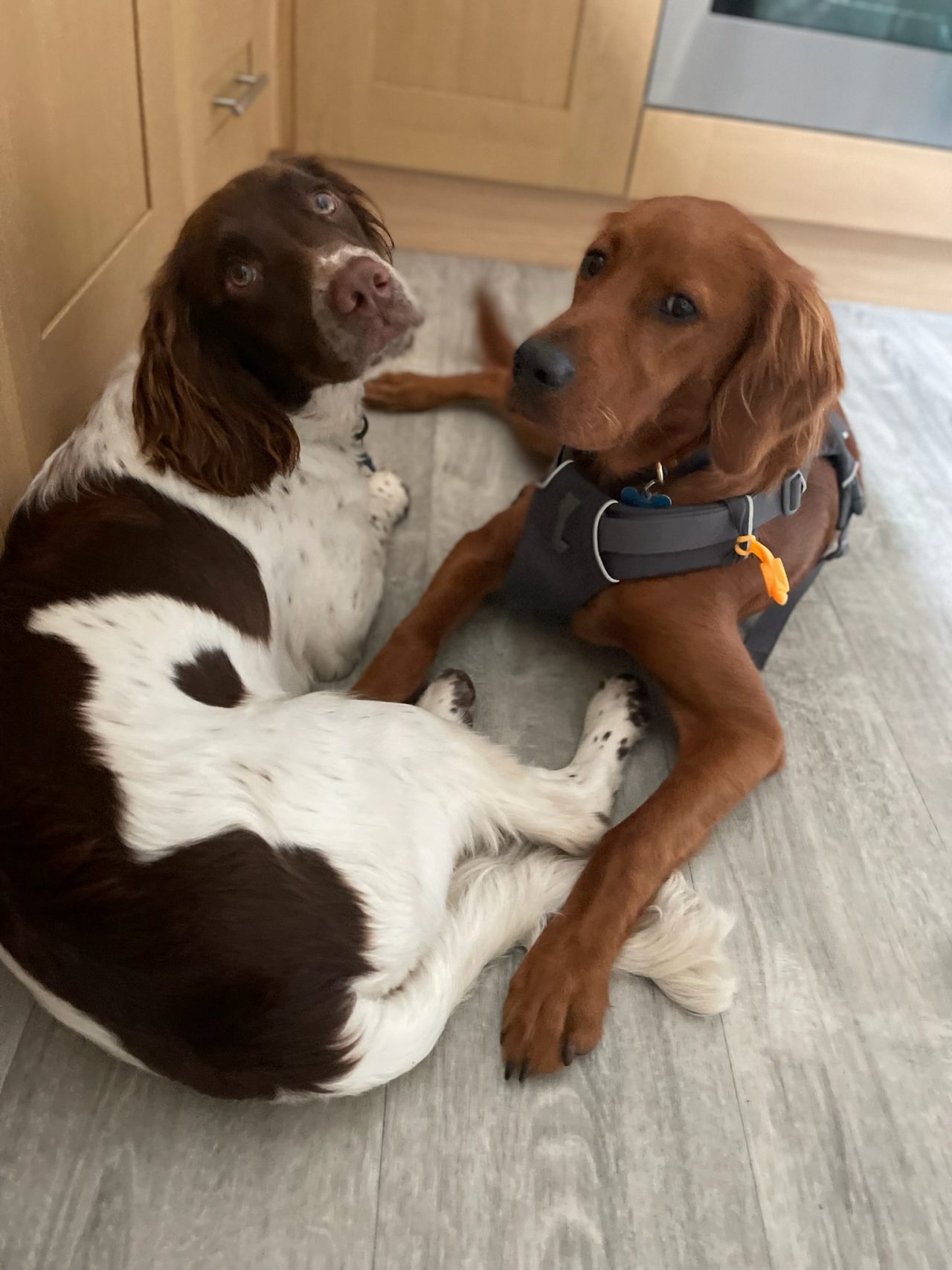 E2A92AE9-8838-4D5A-8EE9-2088D01F94D6