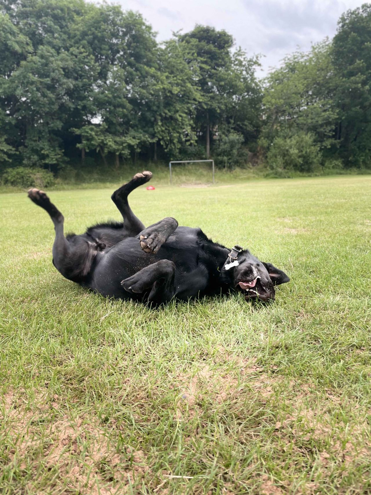 978B3F75-9650-4551-8A66-F25144938F70