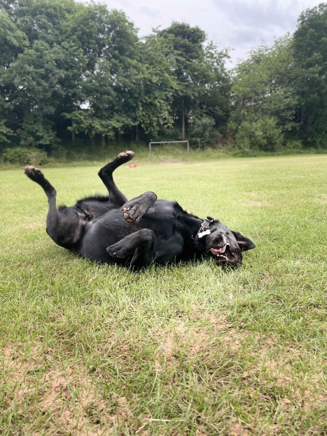 978B3F75-9650-4551-8A66-F25144938F70