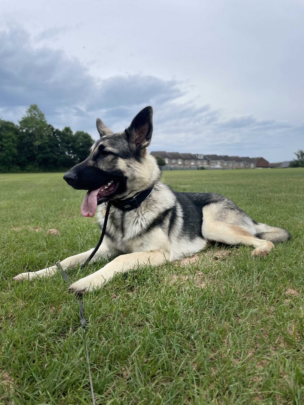 A9CD5071-3465-4B3B-96D9-FB39FF4FF0BF