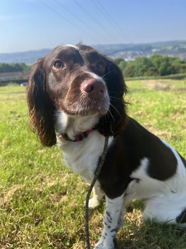 F61A21D1-8FAD-40C1-B8EE-0D9B6BE977FB