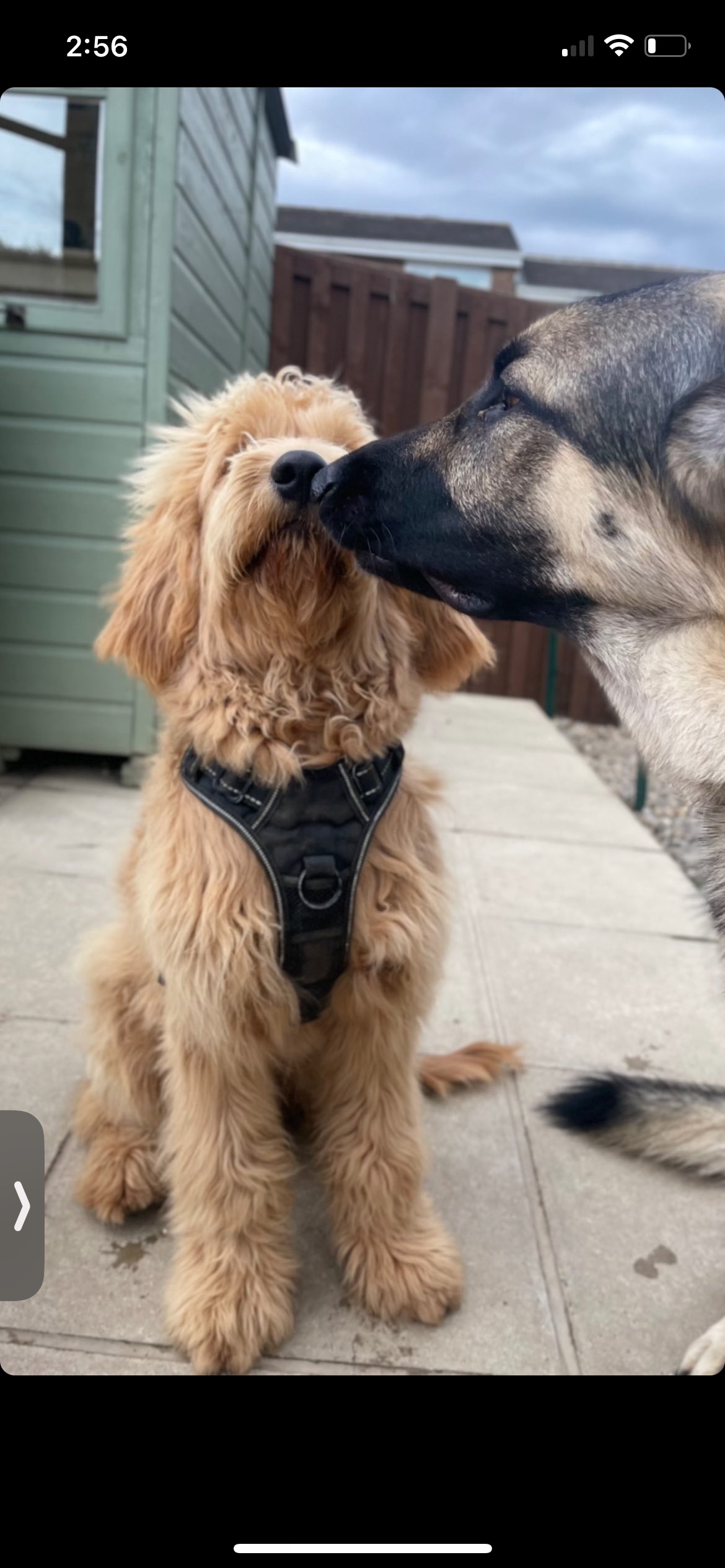 198A5330-F610-4BC9-B6F8-827D88697734