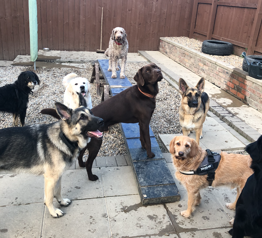 Screenshot 2024-02-27 at 14.13.14