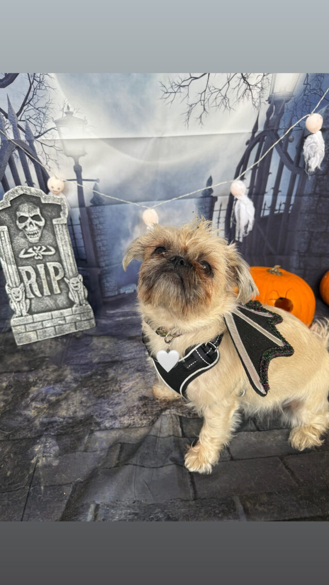 22D73DB1-765D-4438-9785-B7ABA509B838