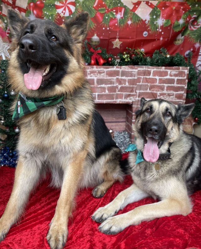 231CE05E-EF85-4975-806D-57DA98ADEC0E_1_201_a