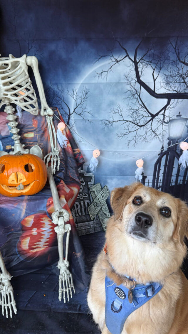 2FC2CE6E-21E9-4AD4-9AF0-68243AF92935