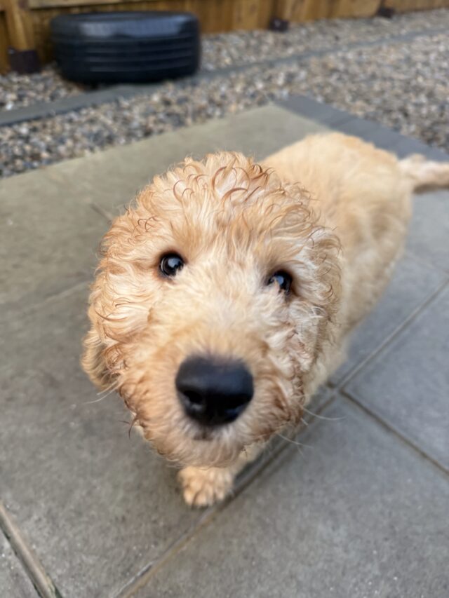 9E672D25-7465-4044-B1A5-3D0559F04E29