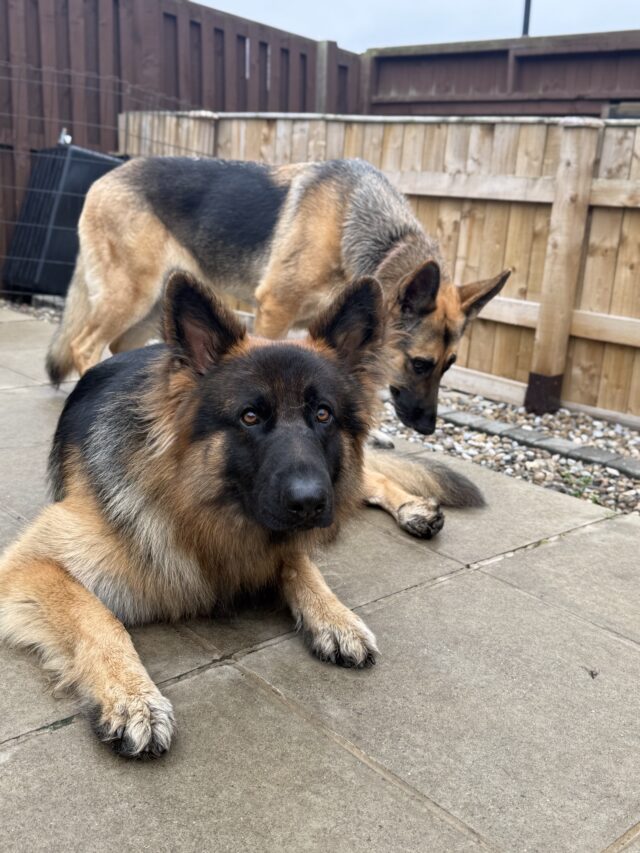 C418872F-E8BA-4737-B186-5EBA29B393AB